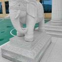 龙岩 白麻花岗岩动物异形石雕-大象