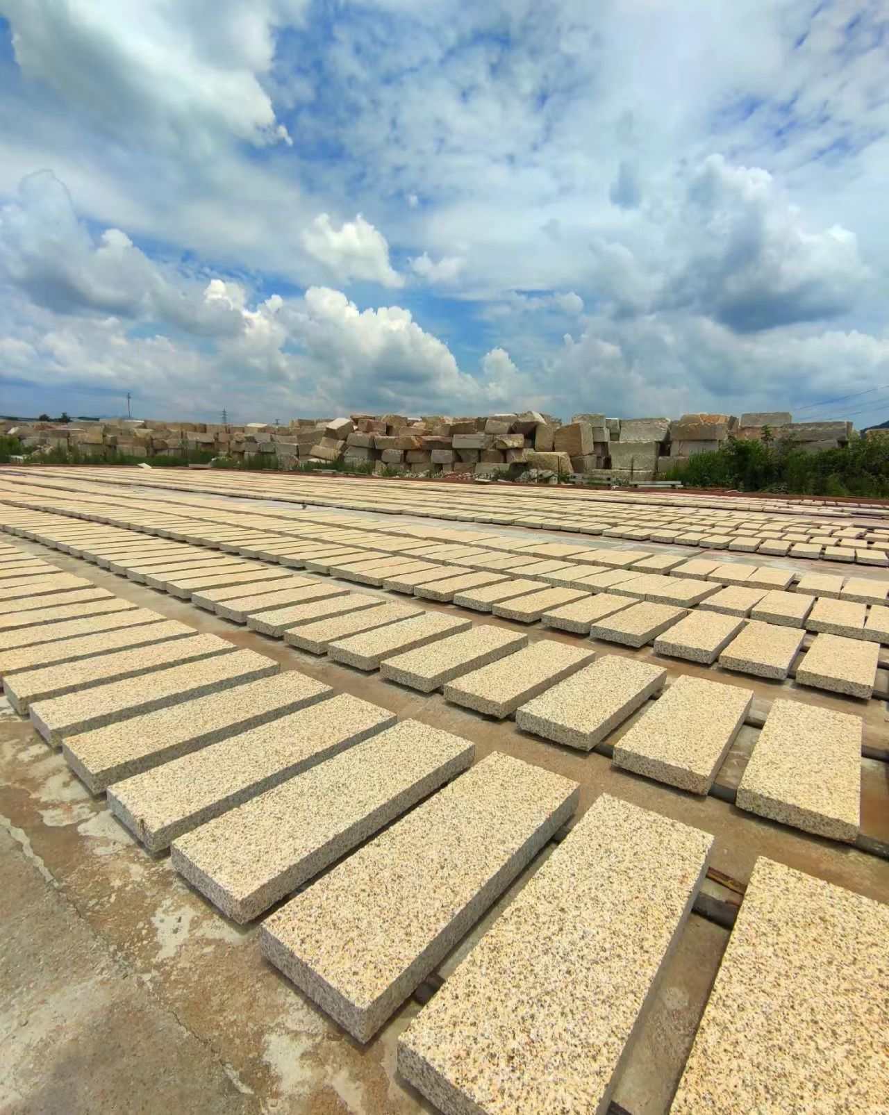 龙岩 黄金麻花岗岩荔枝面地铺石防护中