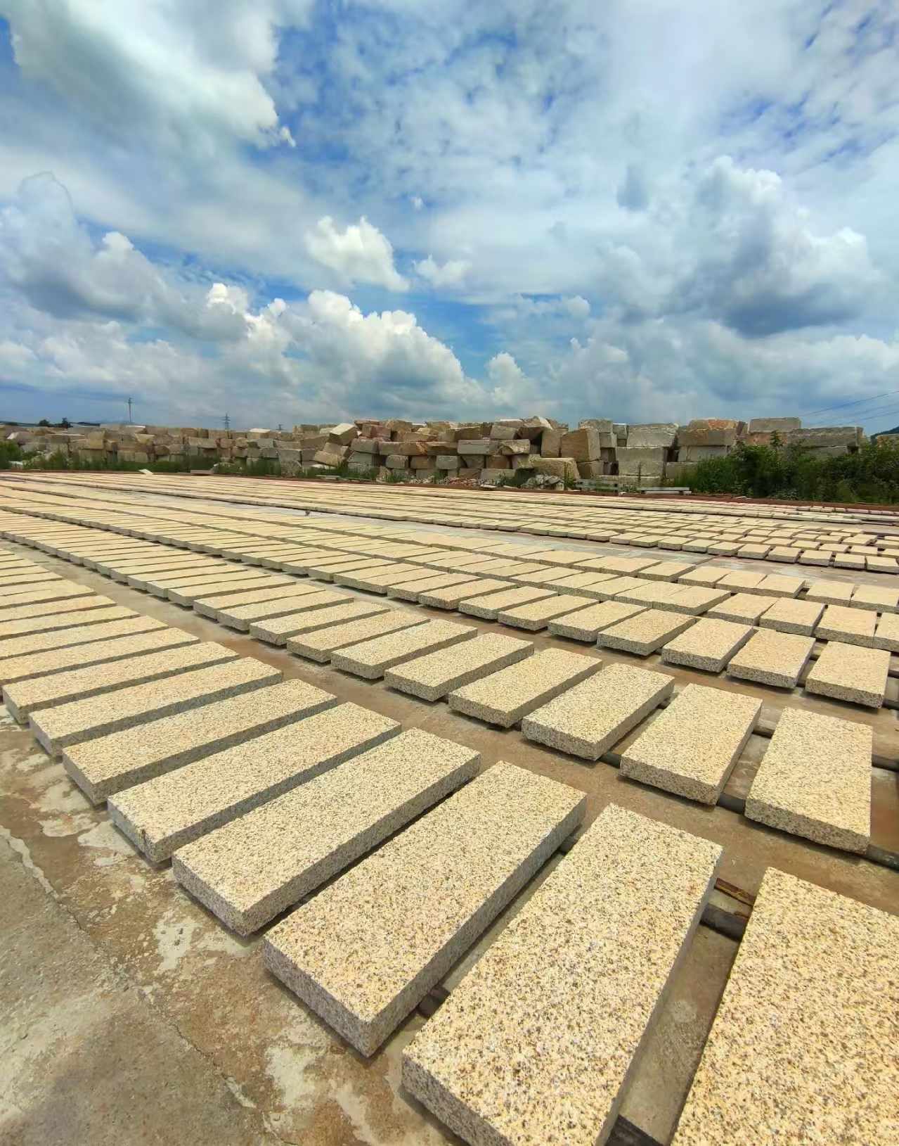 龙岩 黄金麻荔枝面花岗岩石材地铺石防护中